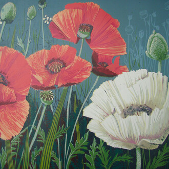 Anne Hickmott, Spring boarder poppies