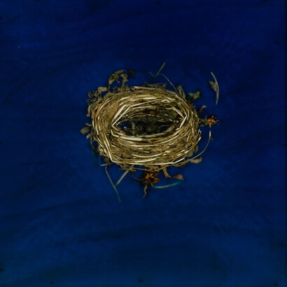 Mayme Kratz, Knot 396, 2024. Courtesy of Lisa Sette Gallery