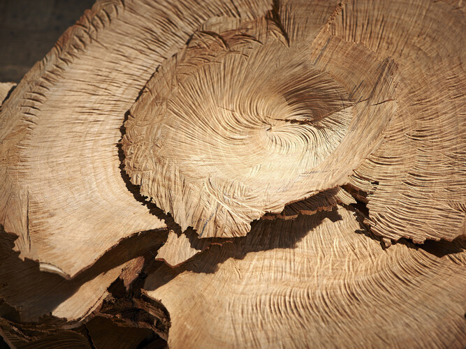 Herbert Golser, flora (detail), 2012, cherry woord, 58 x 55 x 27 cm