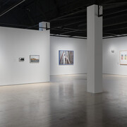 Ngahuia Harrison, The net, exhibition view. Courtesy of Whangārei Art Museum