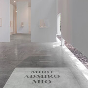 Luis Camnitzer, Una que cubre la palabra que la nombra, vista de exhibición. Cortesía de la Galería Labor