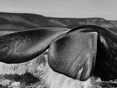 Sebastião Salgado. Courtesy of Museum für Gestaltung