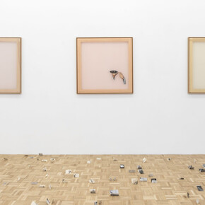 Clara Sánchez Sala, Del marfil al color hígado [From ivory to liver-tone], exhibition view. Courtesy of NF/Nieves Fernández Gallery