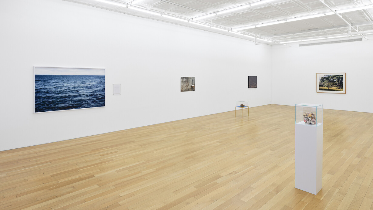 Su-Mei Tse, This is (not) a love song, exhibition view. Courtesy of Peter Blum Gallery
