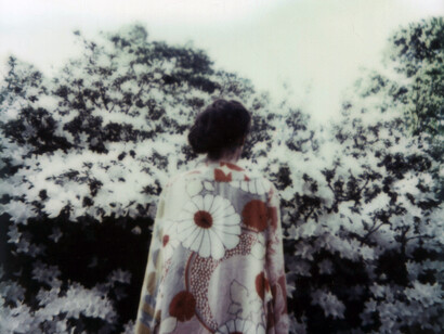 Cespugli. Ph Anna Marcell