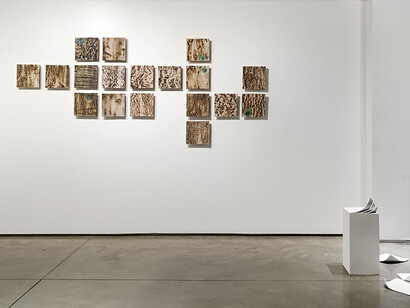 Dafne Kleiman, Quintaesencia, vista de exhibición. Cortesía de la Otto Galería