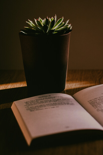 Take time to relax and unwind, read a good book, and relax, avoid doing passive activities, which are not very healthy for you
