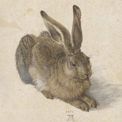Albrecht Dürer. Courtesy of Albertina Museum