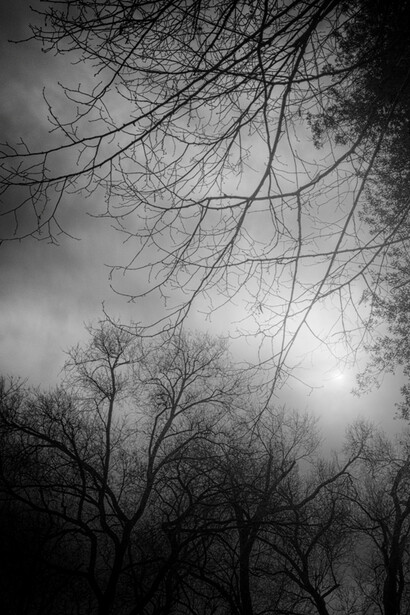 Vestigium. Courtesy of MADE4ART