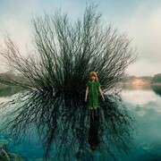 Camara Oscura Galeria de Arte, Ellen Kooi, Oosterplas willow 2012 100x158 cm Fuji Chrystal Archive print ed 7