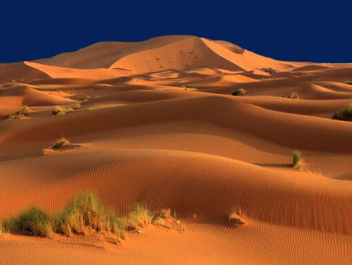 L’estendersi delle aree deserte e in desertificazione in molti continenti e il moltiplicarsi di incendi devastanti danno anche essi la misura delle mutazioni in atto
