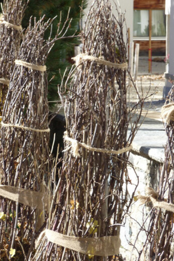 Protezione dalla neve