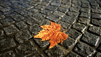 Autunno: passaggio di stagione dall’estate all’inverno