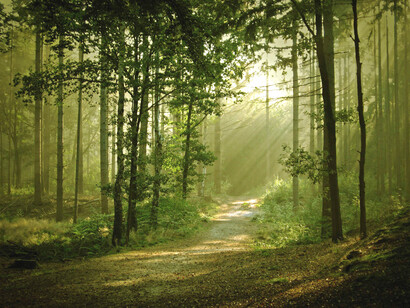 La forma de hacerlo es deshaciéndonos de prejuicios y fanatismos