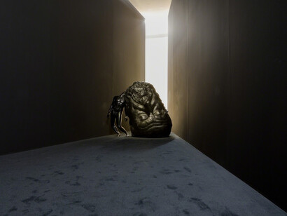 Thomas Lerooy. Courtesy of Museum Dhondt-Dhaenens