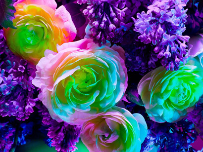 Torkil Gudnason, Electric Blossom #562, 2012. Courtesy of Fahey/Klein Gallery