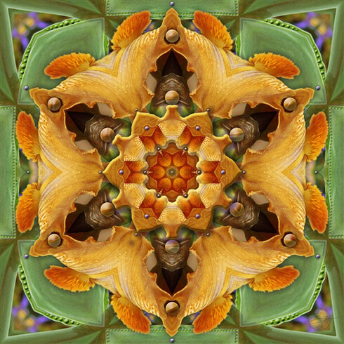Karen Hochman Brown, Orange Iris Bittersweet, Digital Painting on Aluminum, 20" x 20"