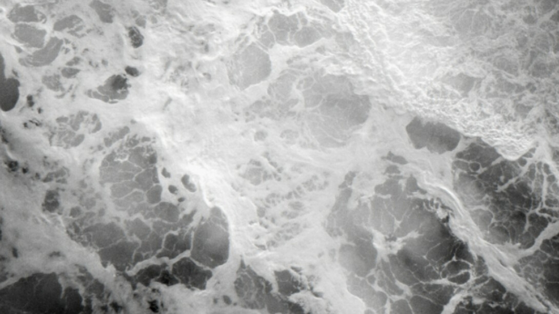 Bodies Politic. Courtesy of Cordesa Fine Art