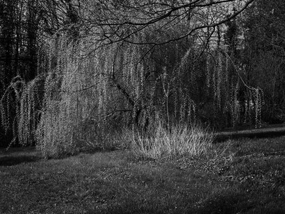 Nogent-sur-Marne, 2007 © Anne-Lise Broyer-Courtesy La Galerie ParticulièreGalerie Foucher-Biousse