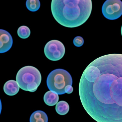 Molecular evolution