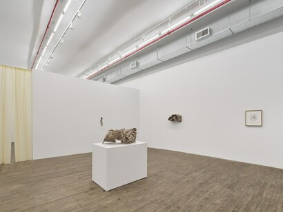 Jes Fan, Sites of wounding. Interchapter, exhibition view. Courtesy of Andrew Kreps Gallery