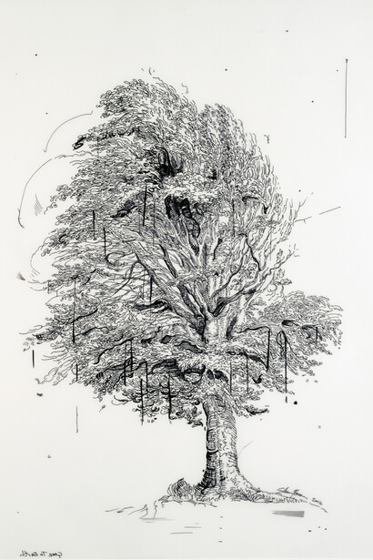 Glenn Brown, Drawing 28, Gone to Earth (after De Gheyn II), 2014, ink on polypropylene, 45 x 27 cm, Courtesy de l’artiste et de la Galerie Max Hetzler, Berlin | Paris

