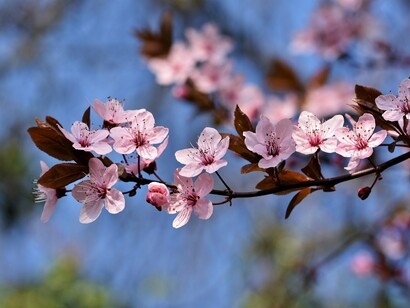 In primavera la natura si risveglia e si riempie di colori nuovi e brillanti