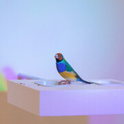 Zip'Up, Exhibition view. Courtesy of Zipper Galeria