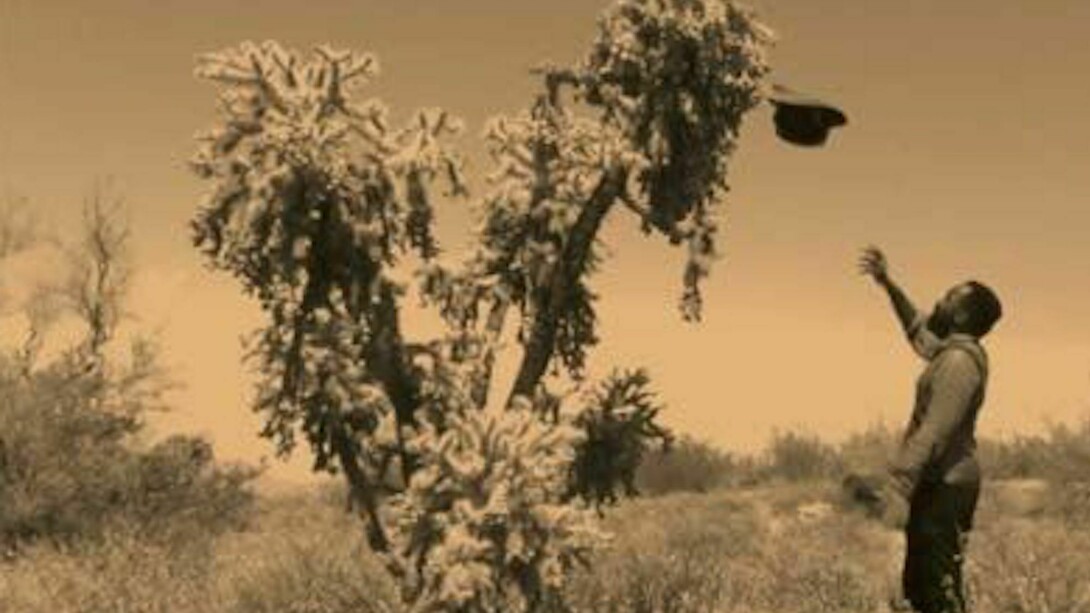 Samson Kambalu, Exhibition view. Courtesy of NSU Art Museum