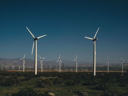 Sob um céu aberto, as turbinas eólicas dominam a paisagem e transformam o vento em energia. Por trás dessa imagem de tecnologia limpa, permanecem os desafios relacionados à escolha dos locais de instalação e à conservação dos ecossistemas