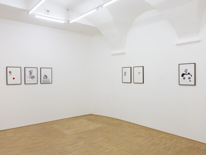 Ronny Delrue, Enigma, exhibition view. Courtesy of Nosbaum Reding