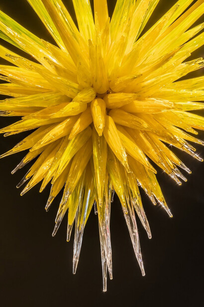 Chihuly. Courtesy of Groninger Museum