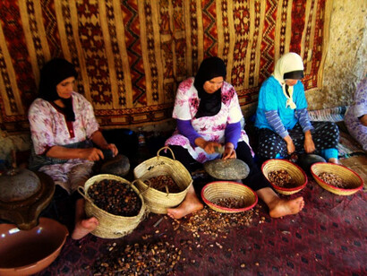 Every part of Argan tree is usable