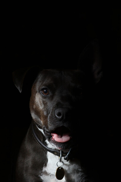 Se convirtió en mi favorito y lo llamé el «Jack de un solo ojo»