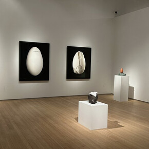 Nathalia Edenmont, Out of body, exhibition view. Courtesy of Nancy Hoffman Gallery