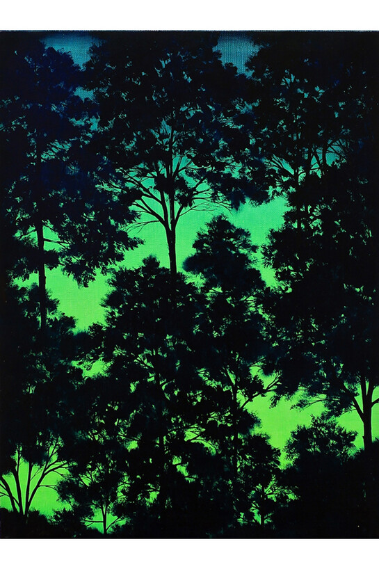 Rikuji Makabe, northern lights - g,  2013,  oil on canvas45.7 x 60.8 cm
