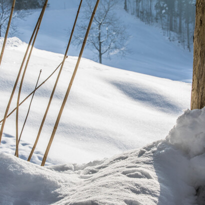Winterlight, ph. by M. Stillwater