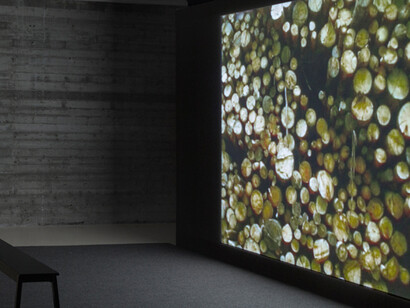 Respire. Courtesy of The Herzliya Museum of Contemporary Art