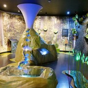 Humans and the environment, exhibition view. Courtesy of the Latvian National Museum of Natural History