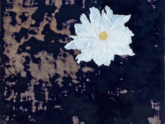 Melanie Miller, Tree Peony, 2014-2015, oil on gessoed board, 40 x 40 cm
