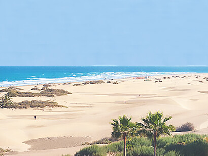 Shela Beach in Lamu, Kenya, presents an idyllic setting with its powdery sands and turquoise waters, perfect for unforgettable coastal getaways and leisurely exploration