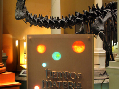 Tiempo y materia: laberintos de la evolución. Courtesy of Museo de La Plata