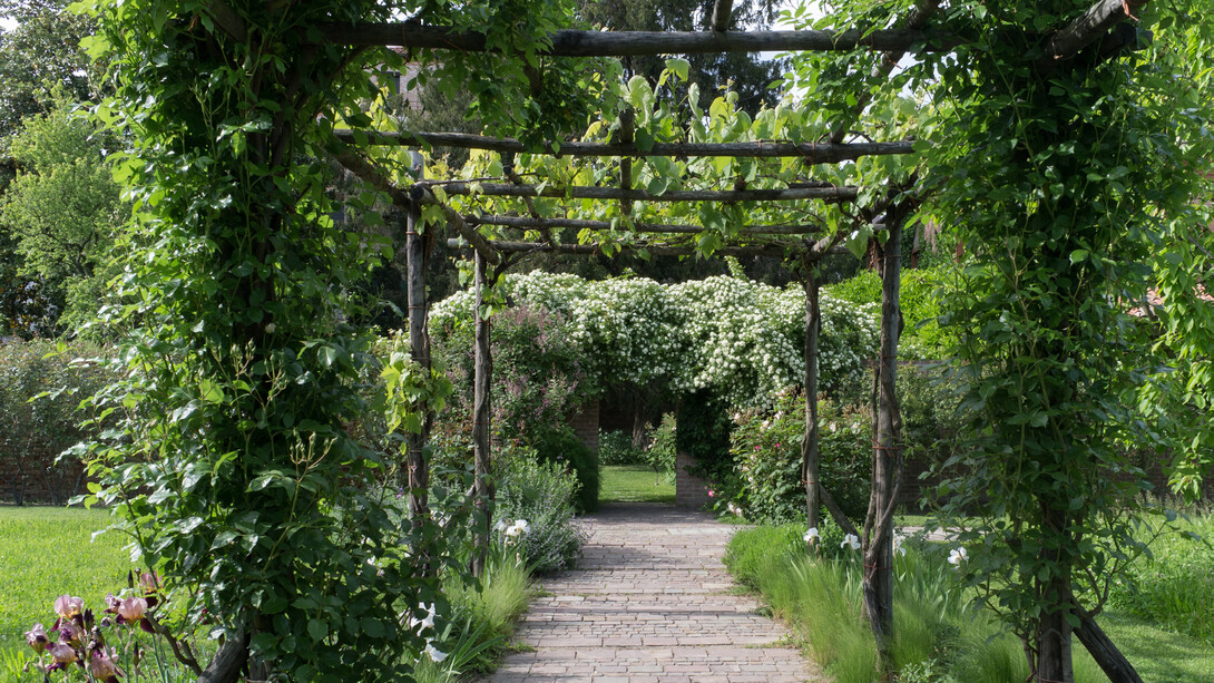 Un giardino alla Giudecca