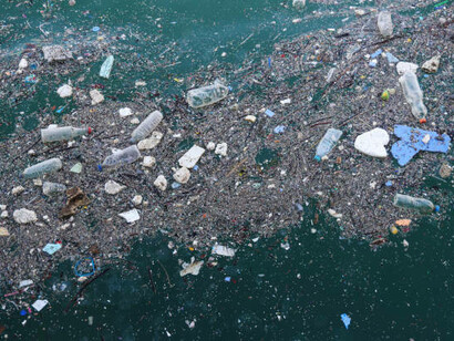 The spread of plastic pollution in oceans and microplastics in nature poses serious risks to ecosystems, marine life, and public health