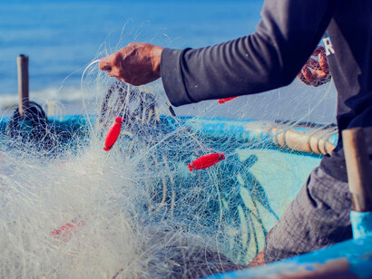 Tra il 2000 e il 2016 in Ghana la quantità di pescato è diminuita del 37% e il reddito dei pescatori locali è sceso del 40%