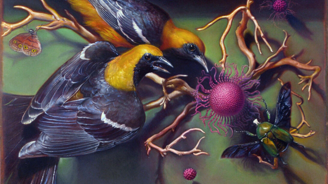 Kevin King, Diorama with Orioles, 2012, Oil on copper plate. Work Size: 7 x 10 1/2 inches, 17.8 x 26.7 cm. Framed Size: 12 3/4 x 16 inches, 32.4 x 40.6 cm