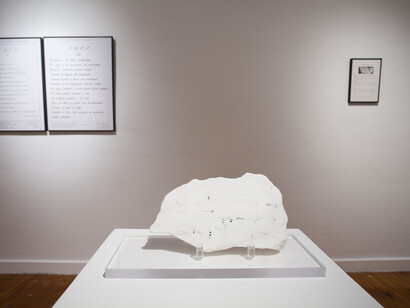 Marie Orensanz, Installation view