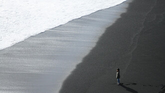 Um menino descobre a dor da perda ao encontrar uma gaivota morta na praia. Em um gesto de respeito, ele cria um pequeno túmulo para o animal, enquanto lida com a complexidade de seus sentimentos pela primeira vez