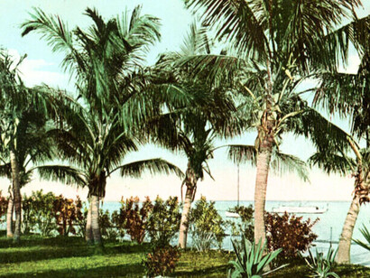 "A Corner in the Park", Miami, Florida, USA (1900-1909)