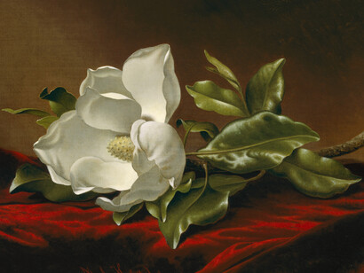 The Genius of Martin Johnson Heade. Courtesy of Georgia Museum of Art